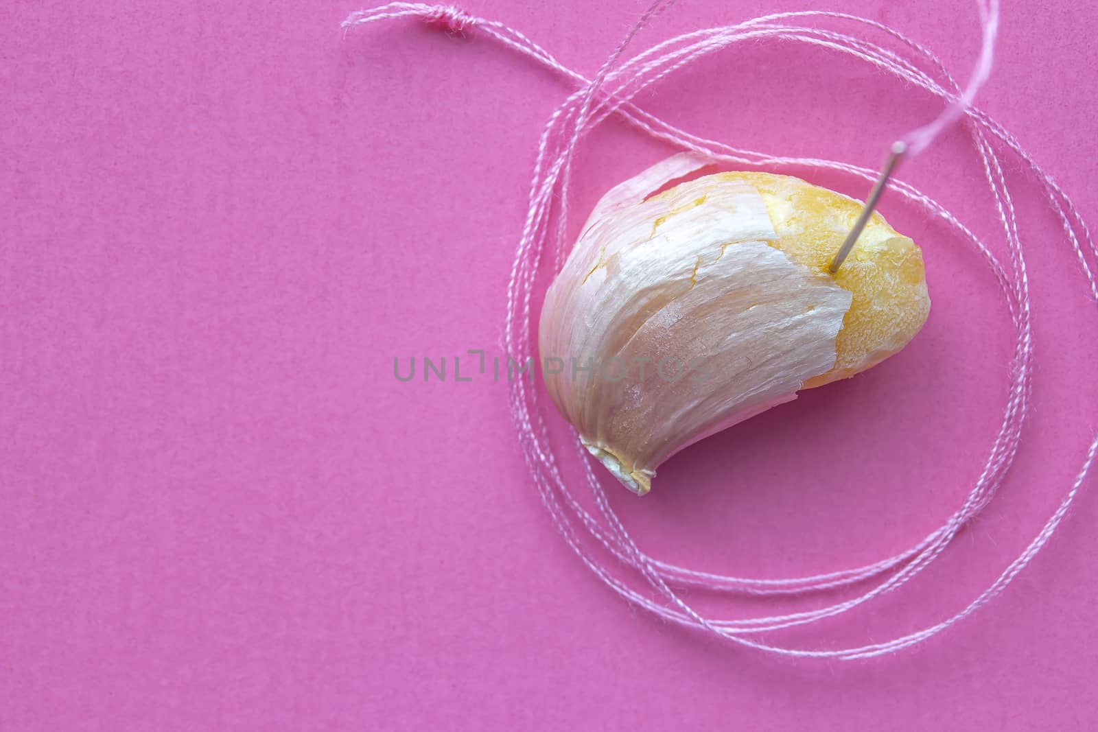 A single garlic with sewing needle and a pink Spool Of Pink Sewing Thread With Needle and pink background on the right side.