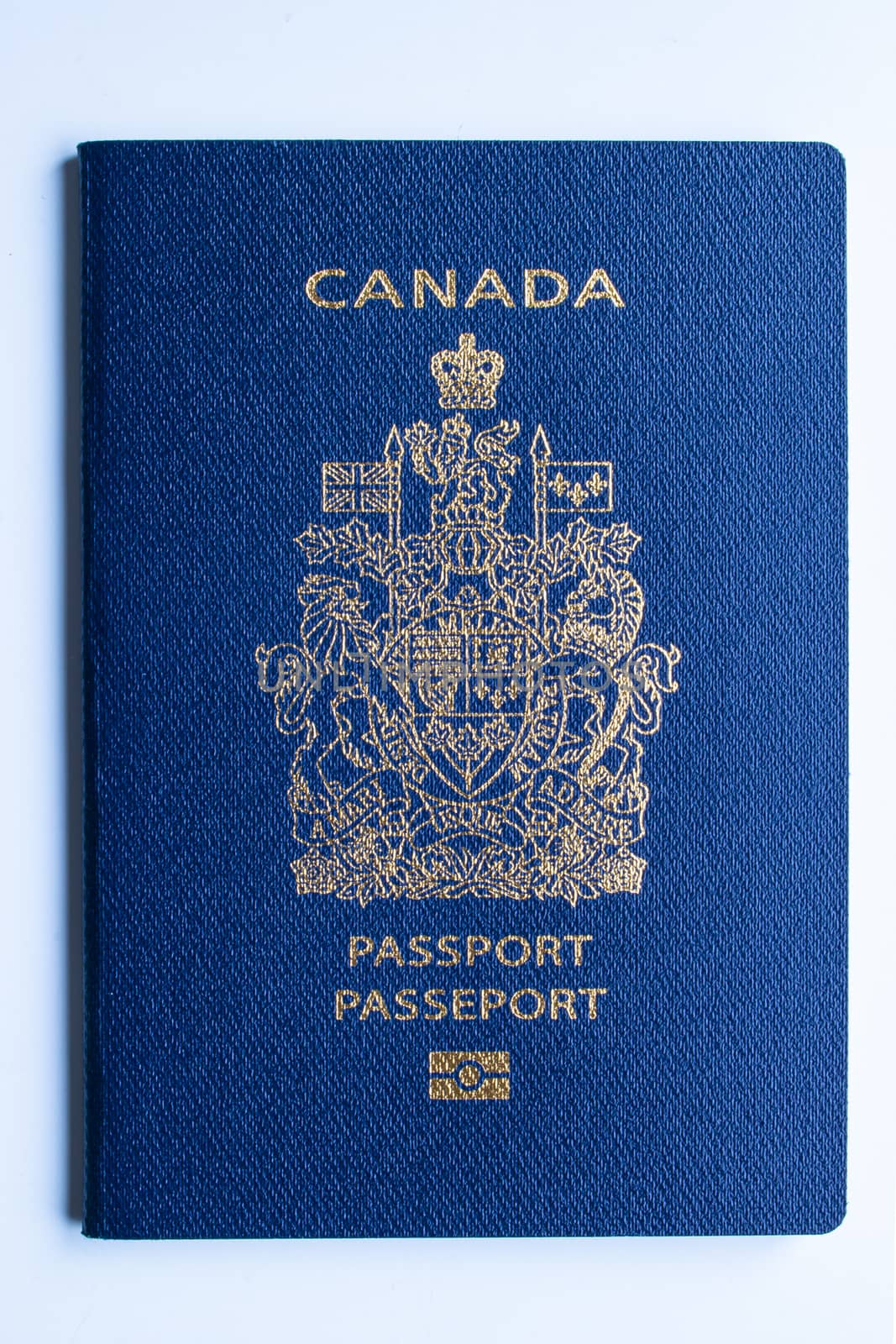 Canadian passport front cover on a white background by oasisamuel