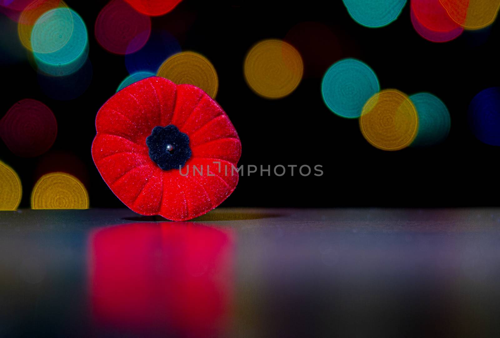 Remembrance Day, Poppy Flower with christmas lights, December holidays