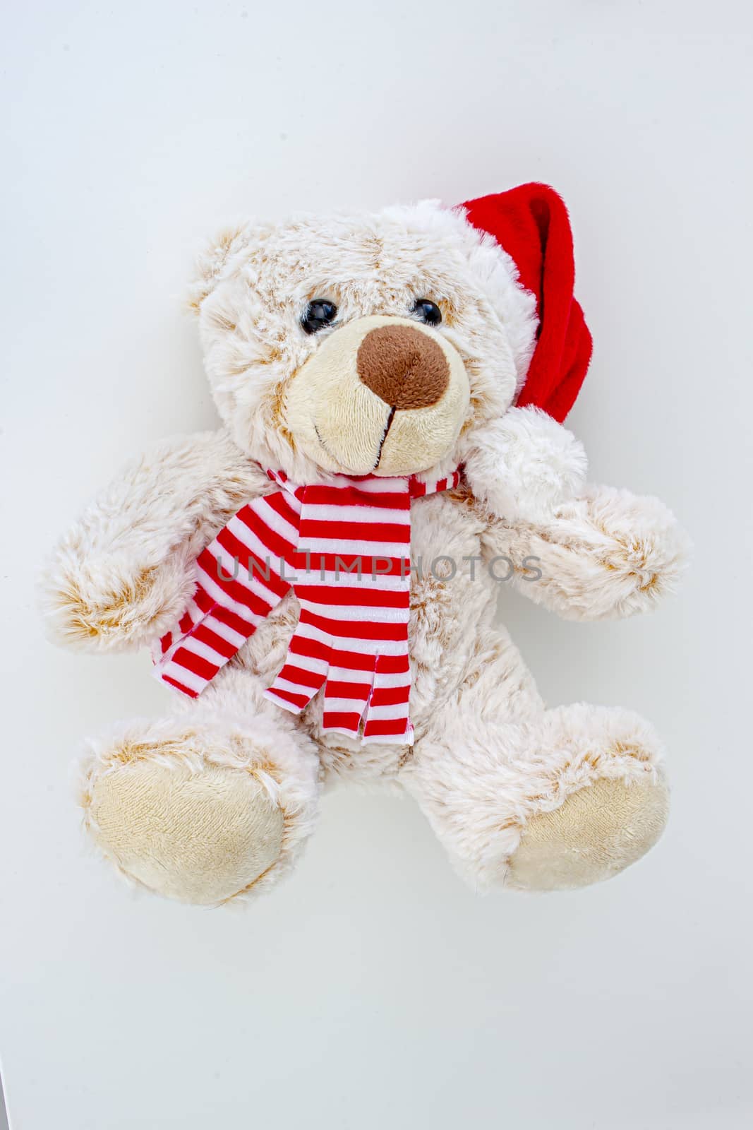 Vertical view of a light brown teddy bear with a santa hat