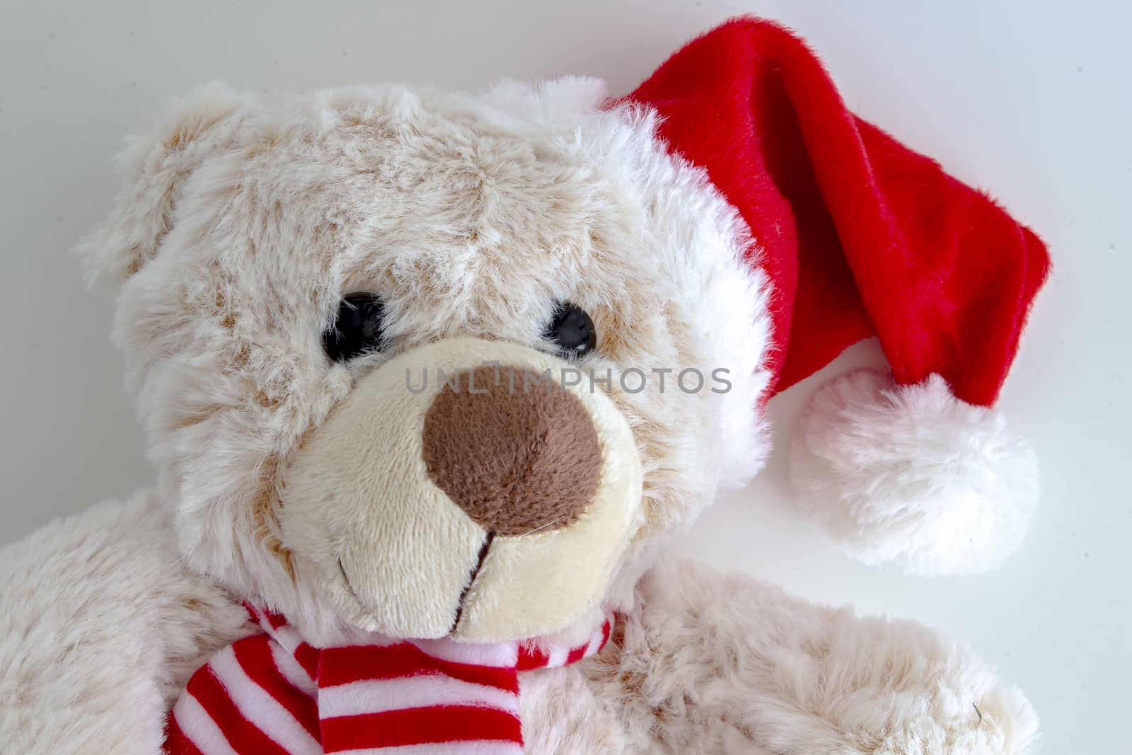 Close up of a light brown teddy bear with a santa hat by oasisamuel