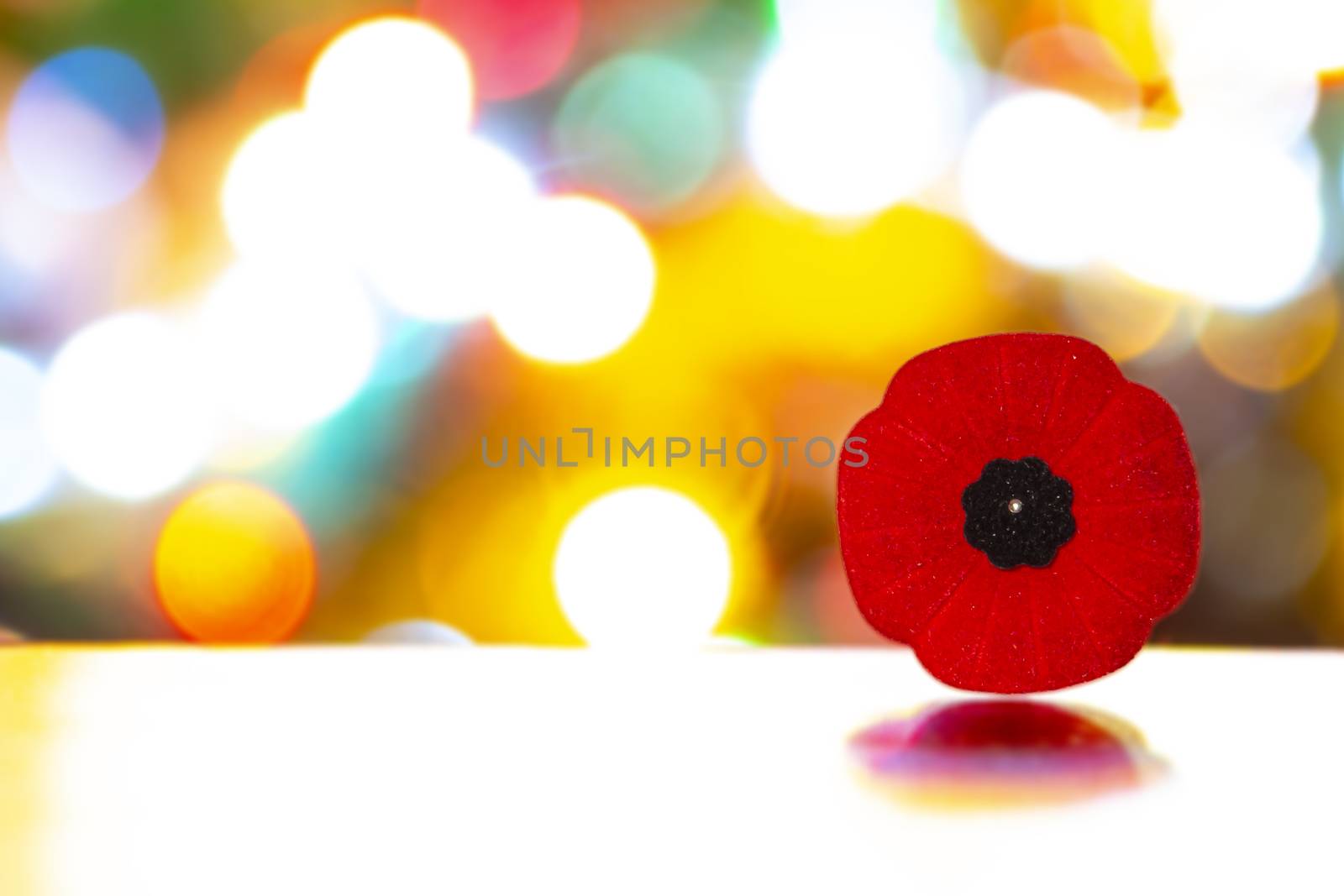 Remembrance Day Poppy Flower with Christmas Lights on a table