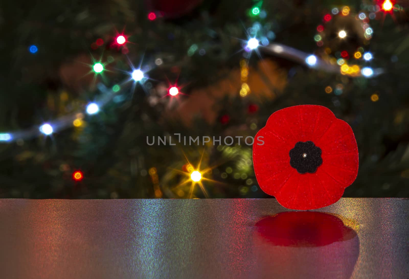 Remembrance Day Poppy Flower with a shadow with lights on the background