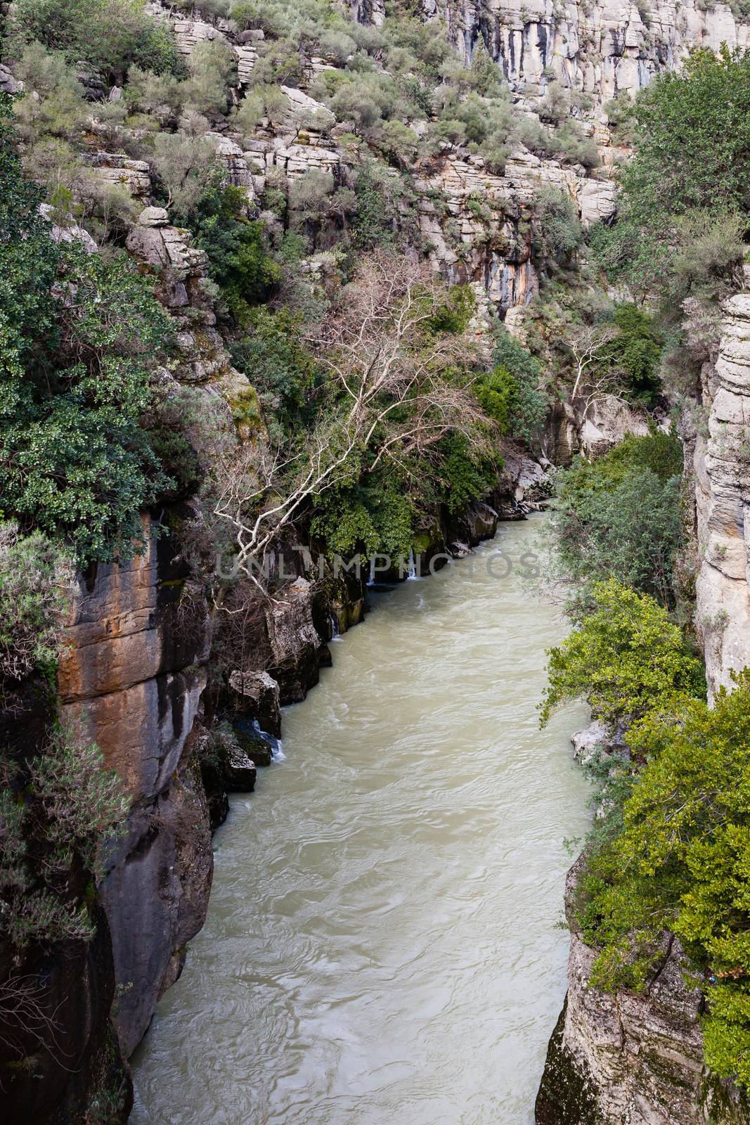 A view of Kopru River and Koprulu Canyon is a National Park in the province of Antalya, south western Turkey.