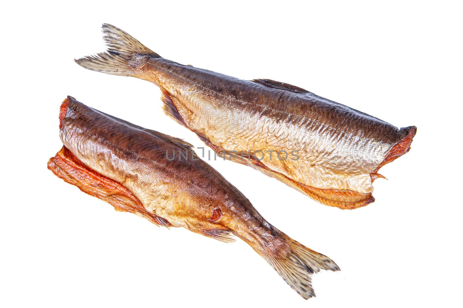 Smoked red fish on an isolated studio background