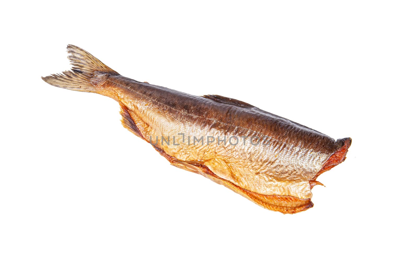 Smoked red fish on an isolated studio background