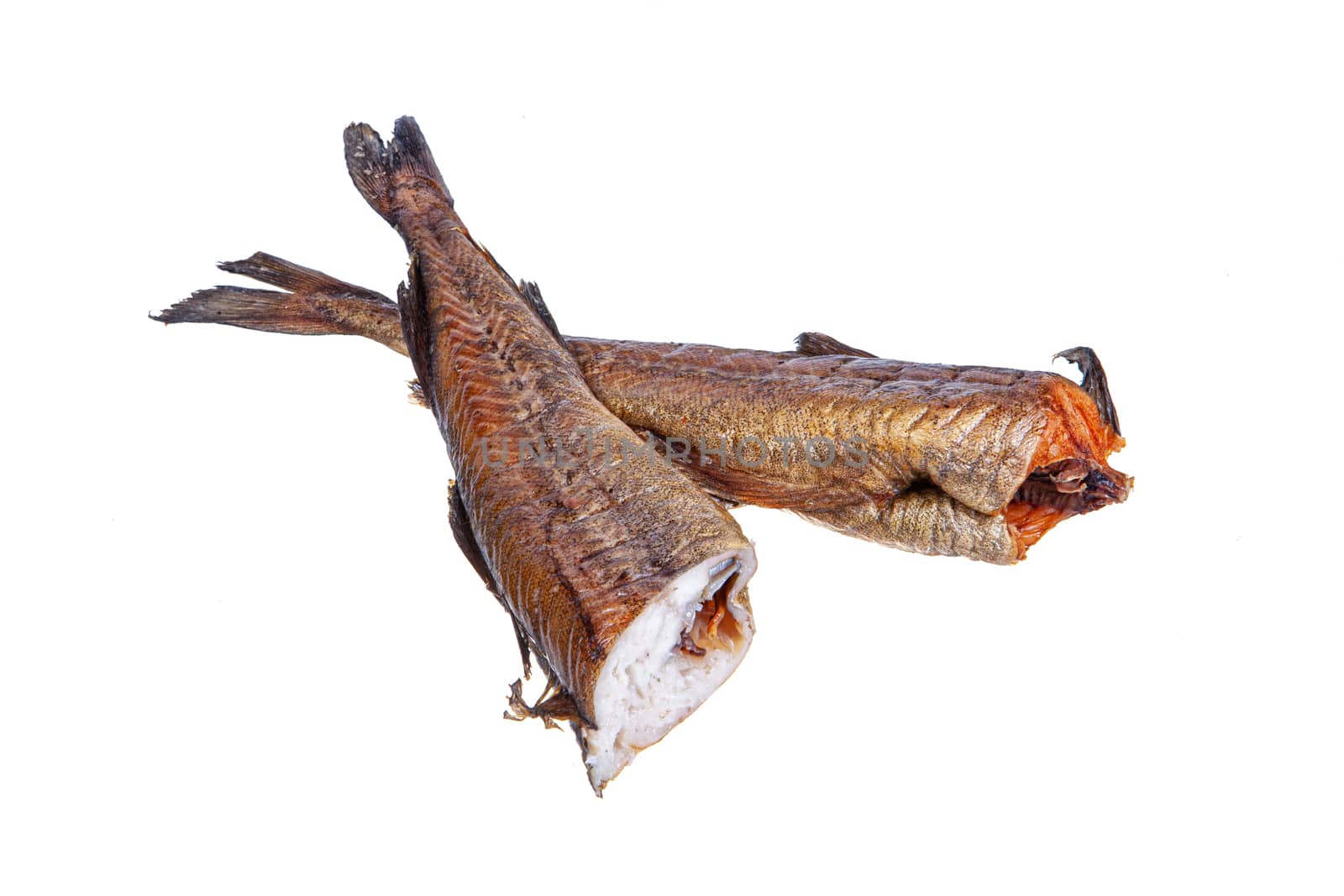 Smoked red fish on an isolated studio background