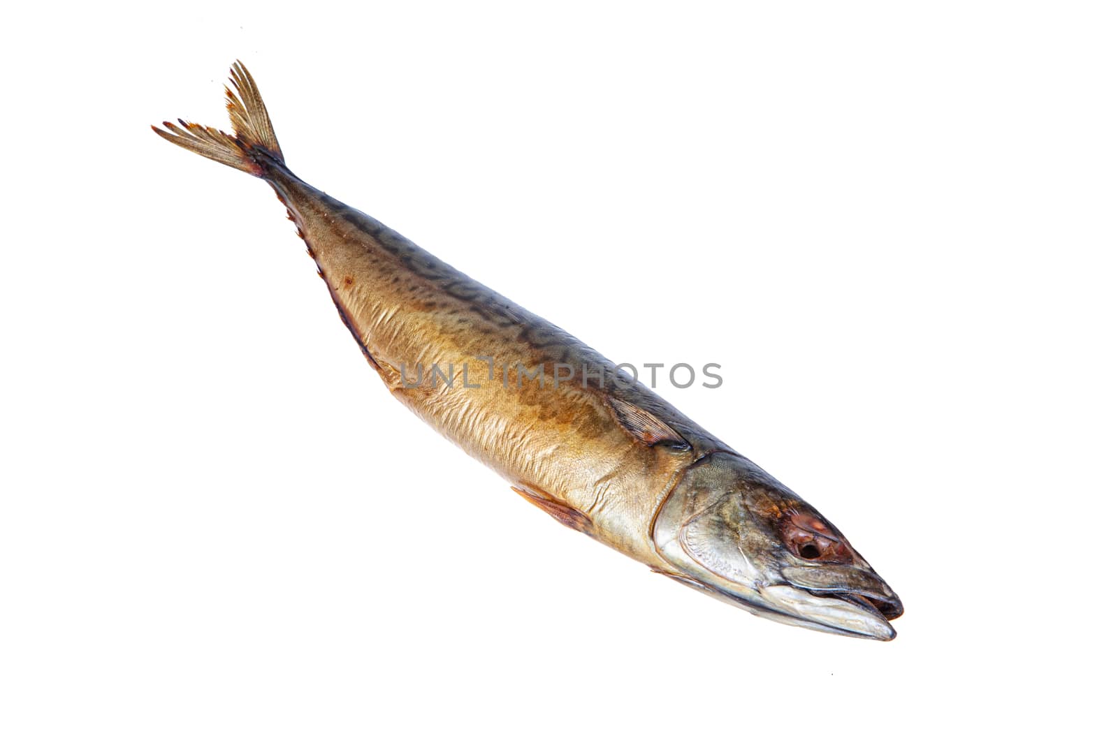 Salted fish on an isolated studio background