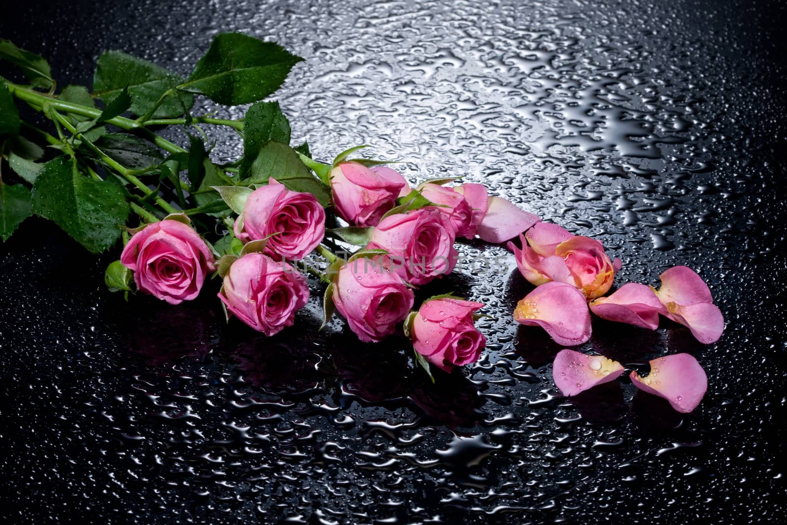 Three red roses on a black background with water drops