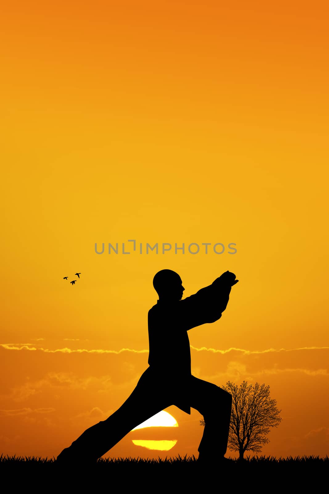illustration of shaolin silhouette at sunset