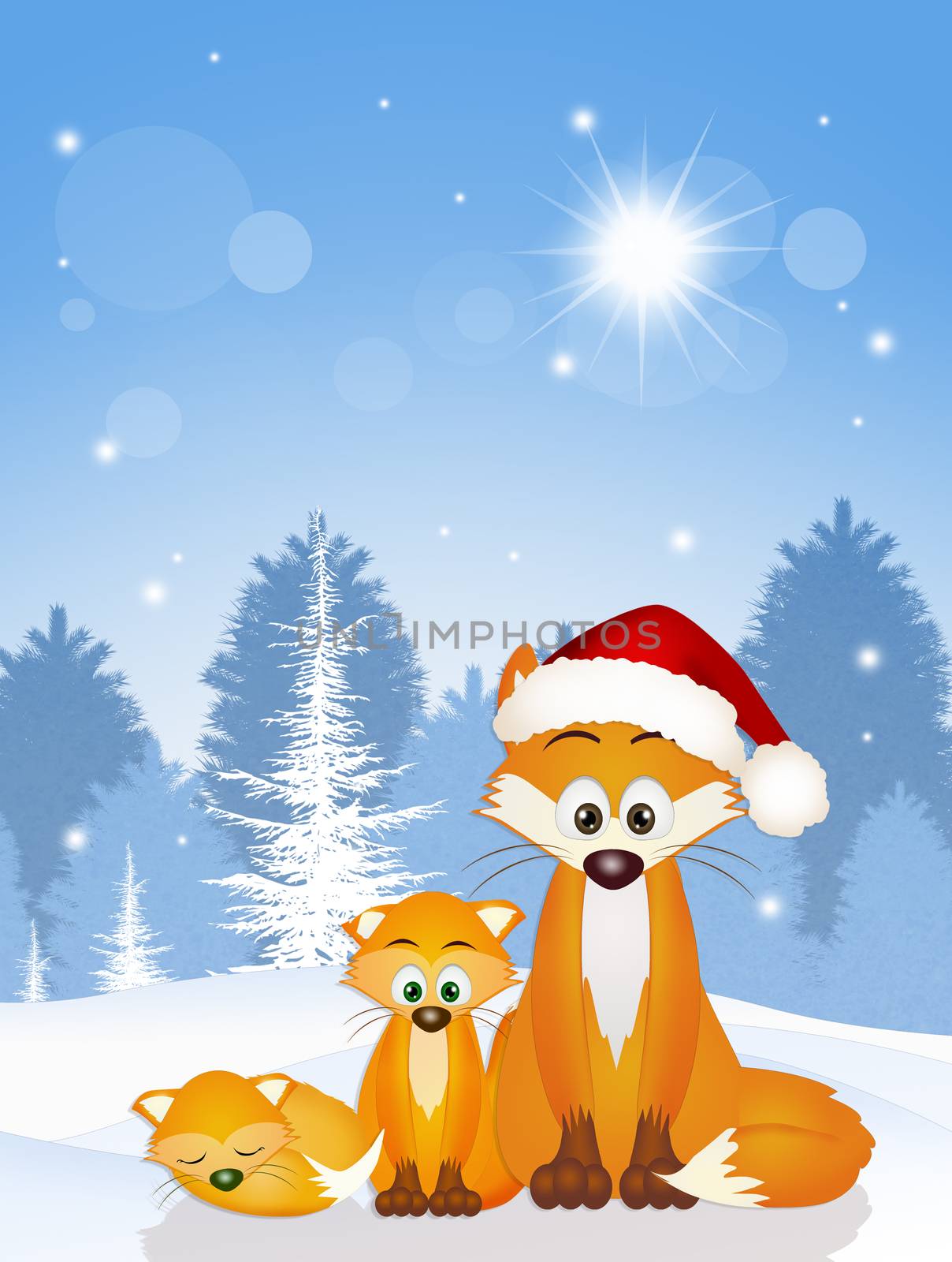 red fox at Christmas by adrenalina