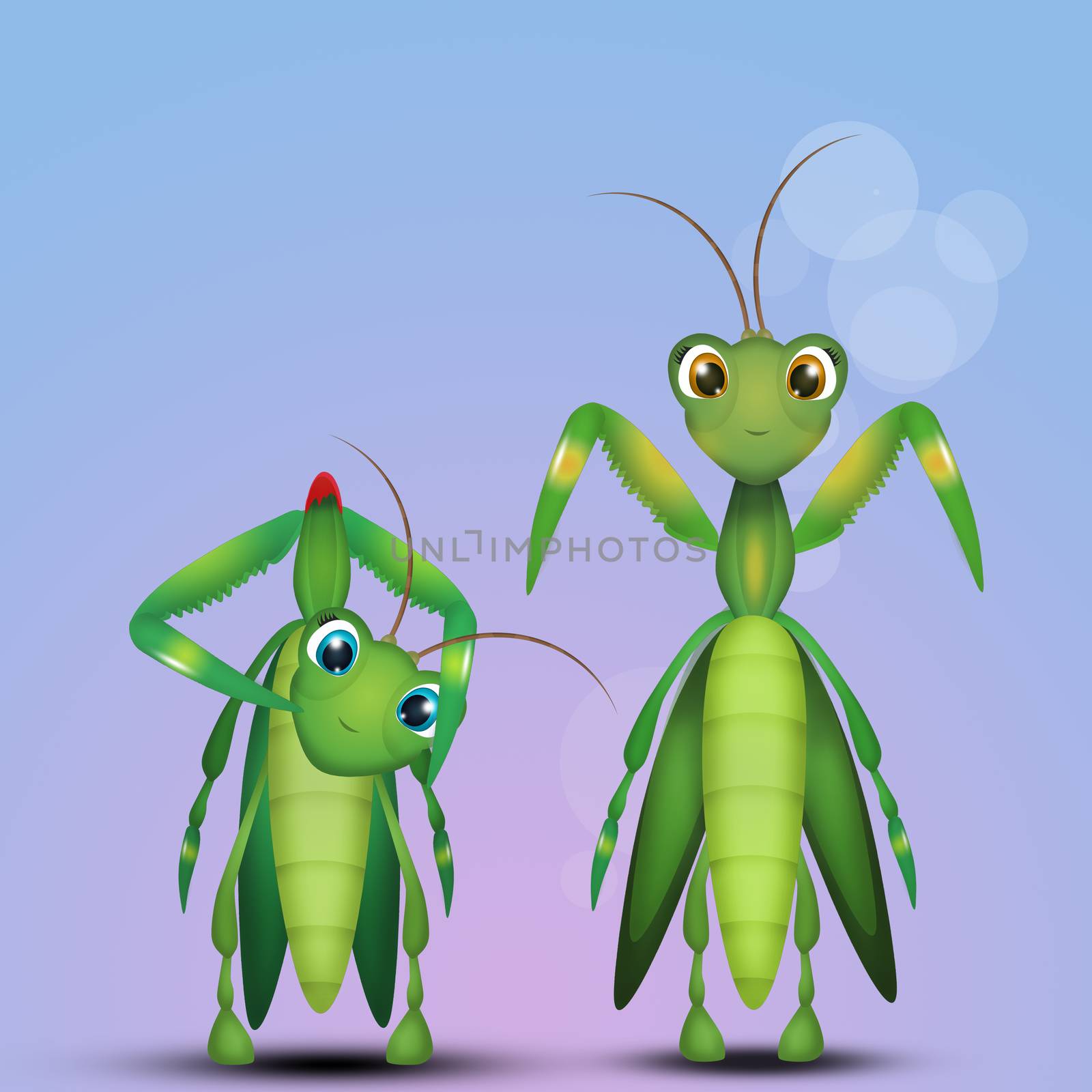 illustration of mantis couple