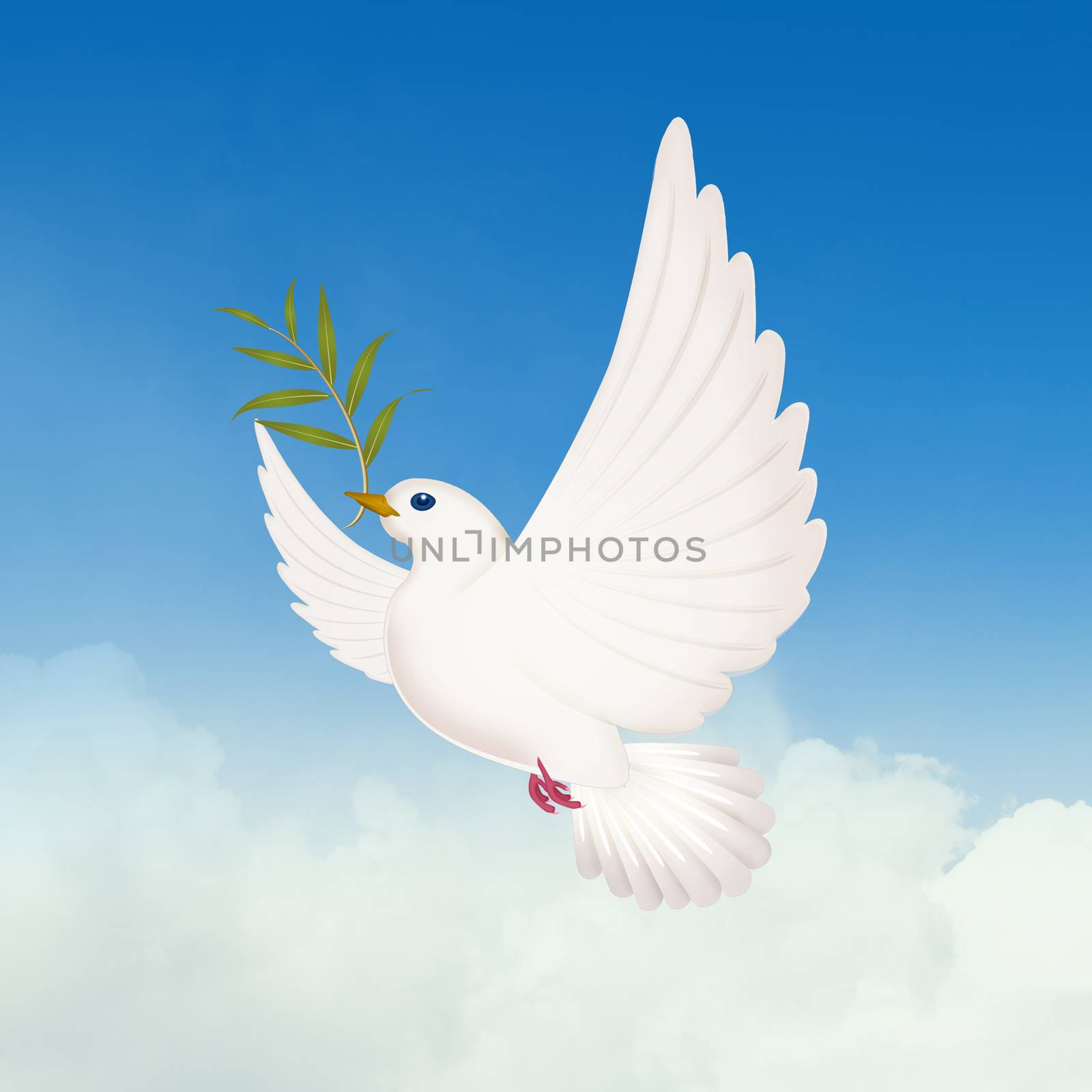 illustration of dove with olive, in the sky
