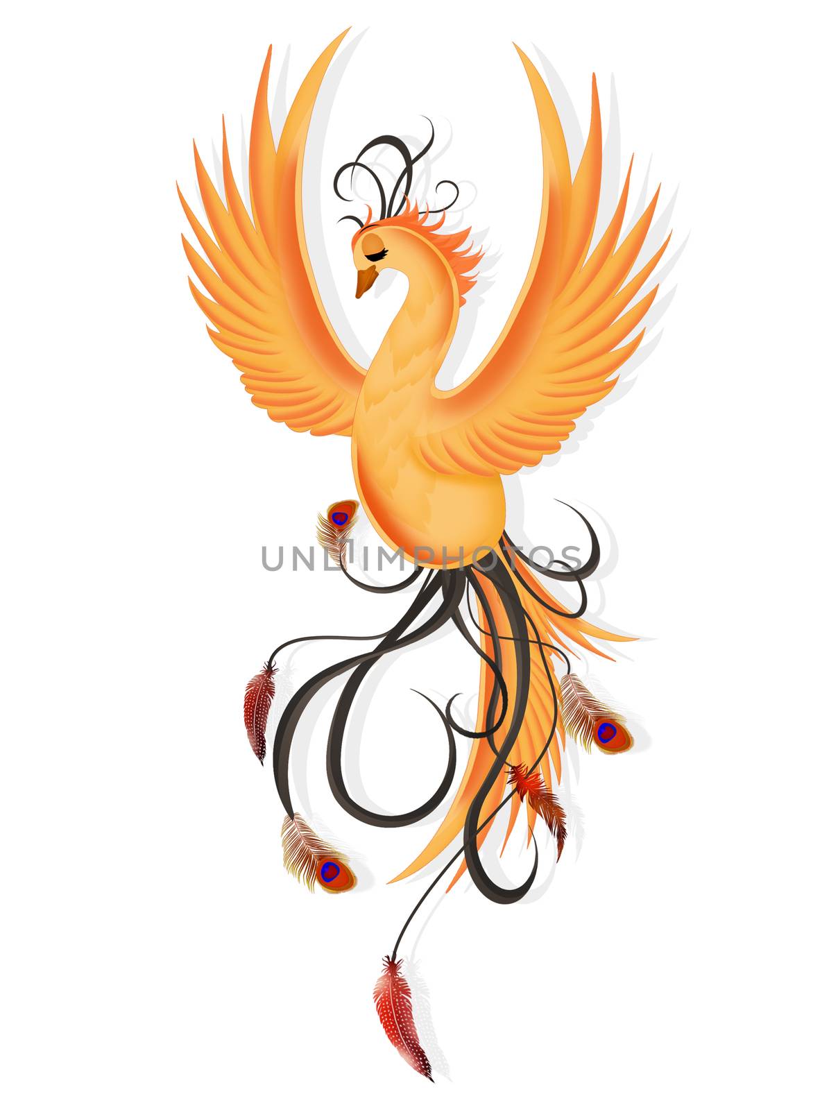 illustration of the phoenix on white background
