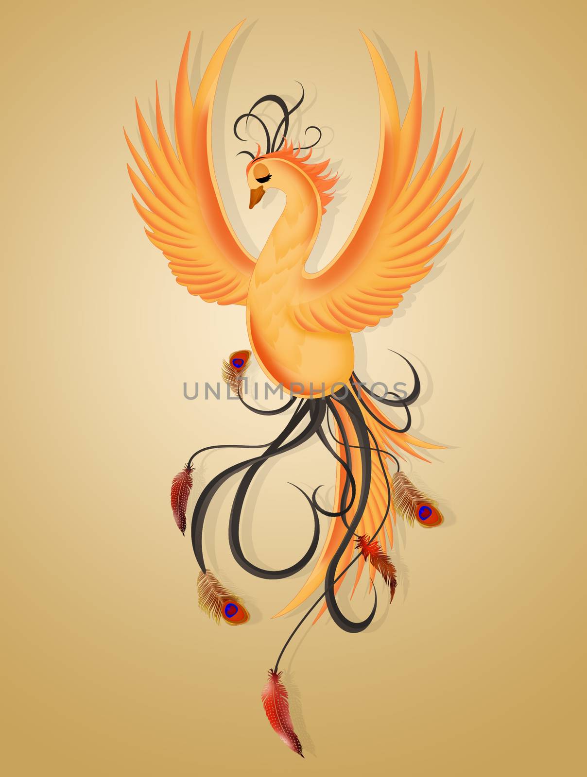 illustration of the phoenix