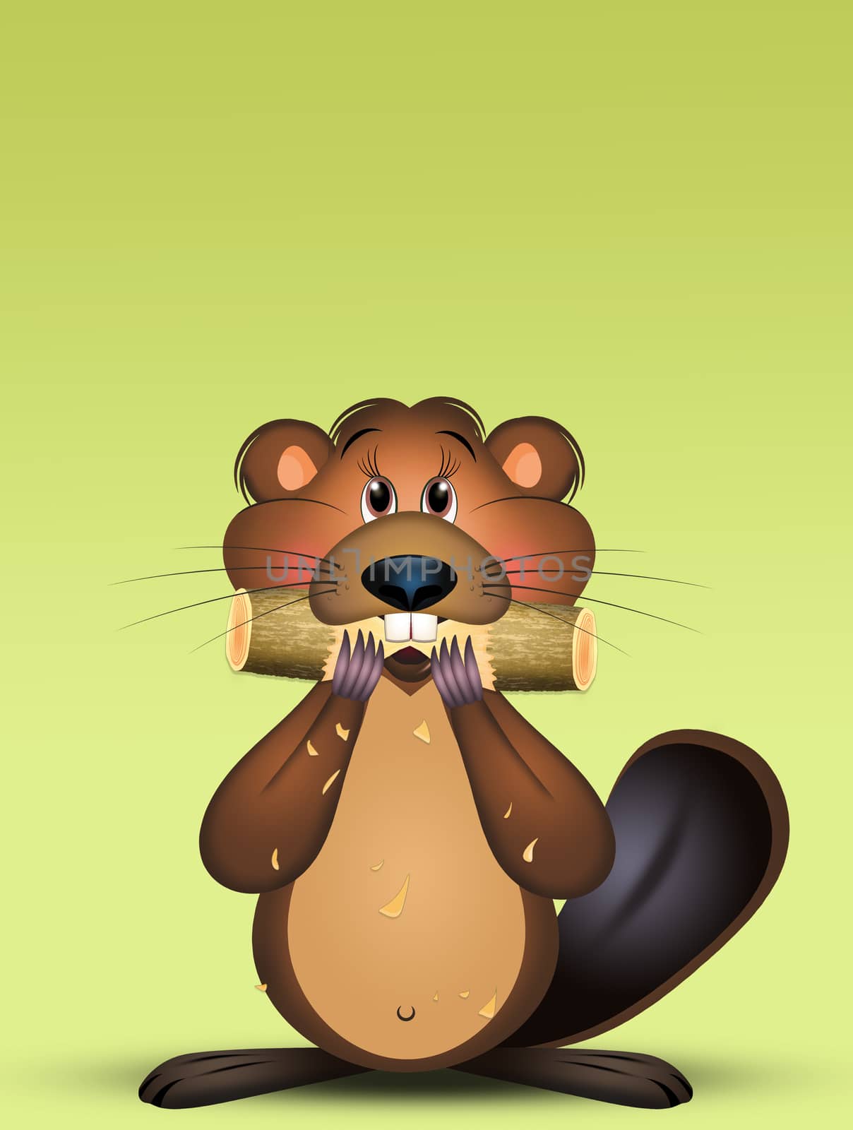 illustration of marmot gnaws the wood