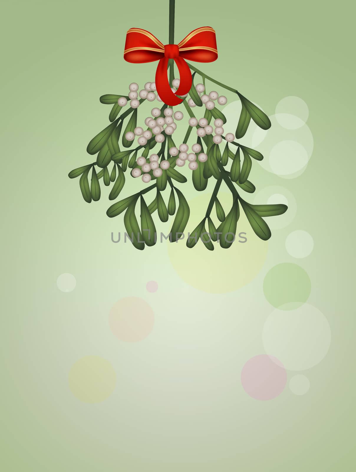illustration of mistletoe by adrenalina