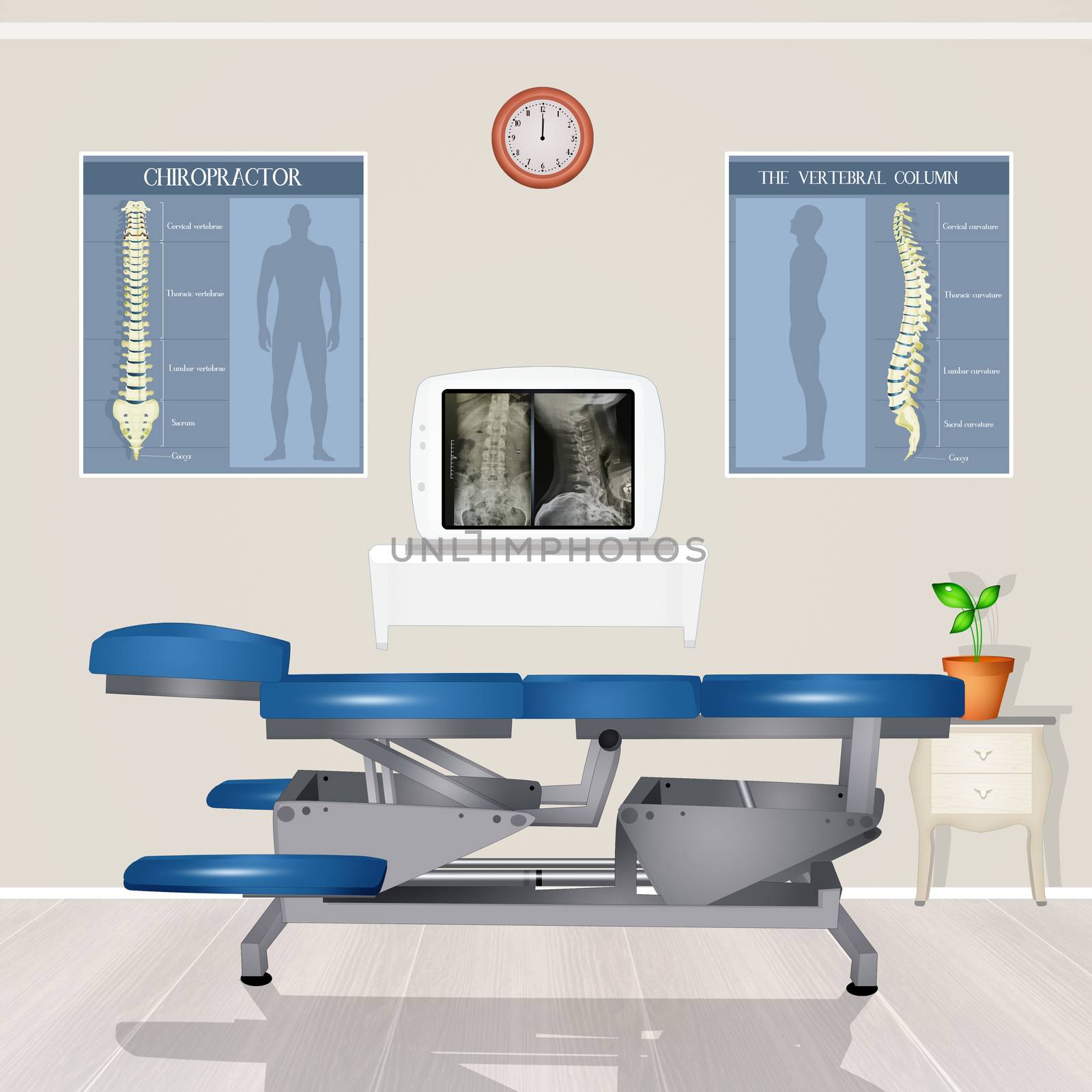 illustration of chiropractic study by adrenalina
