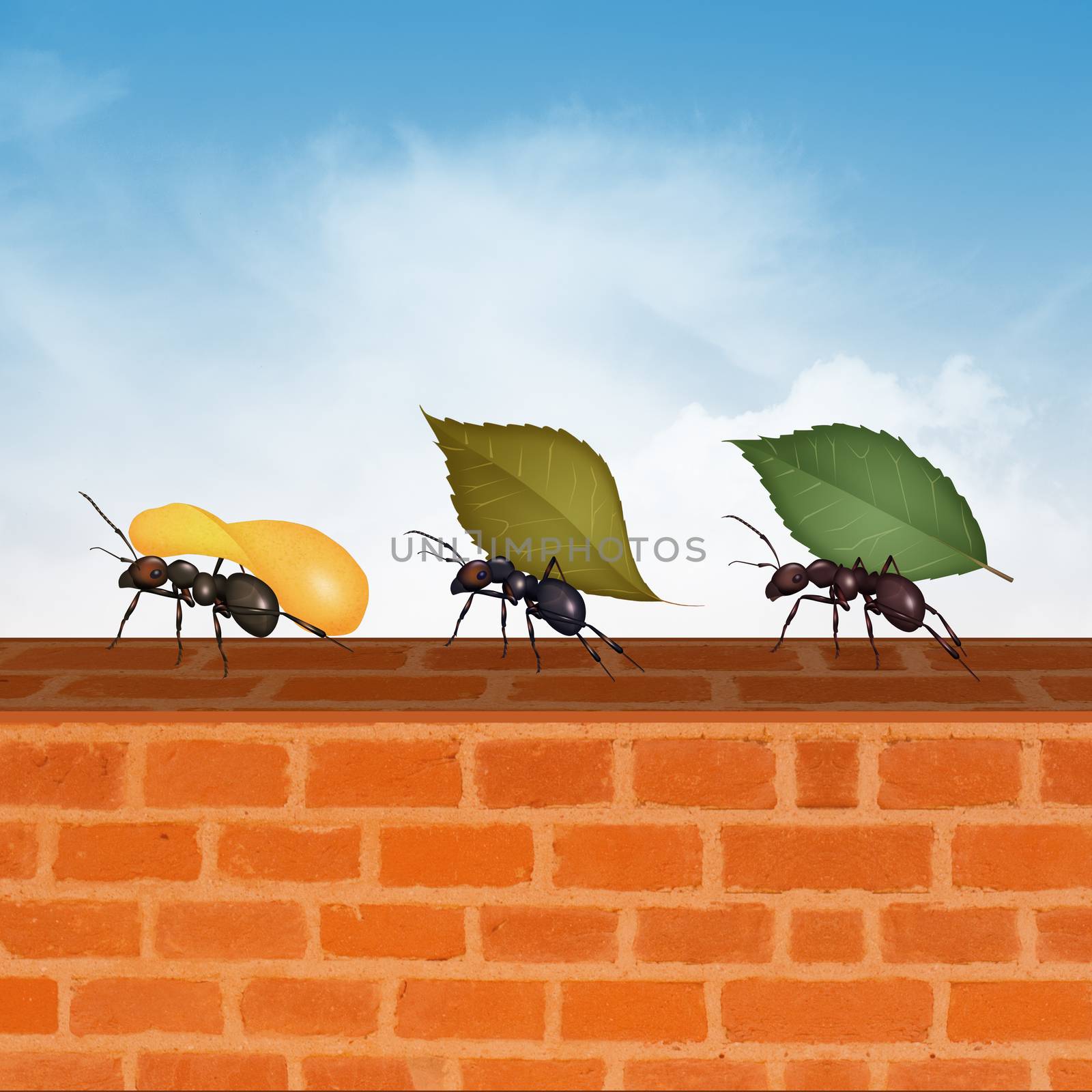 illustration of ants with crumbs