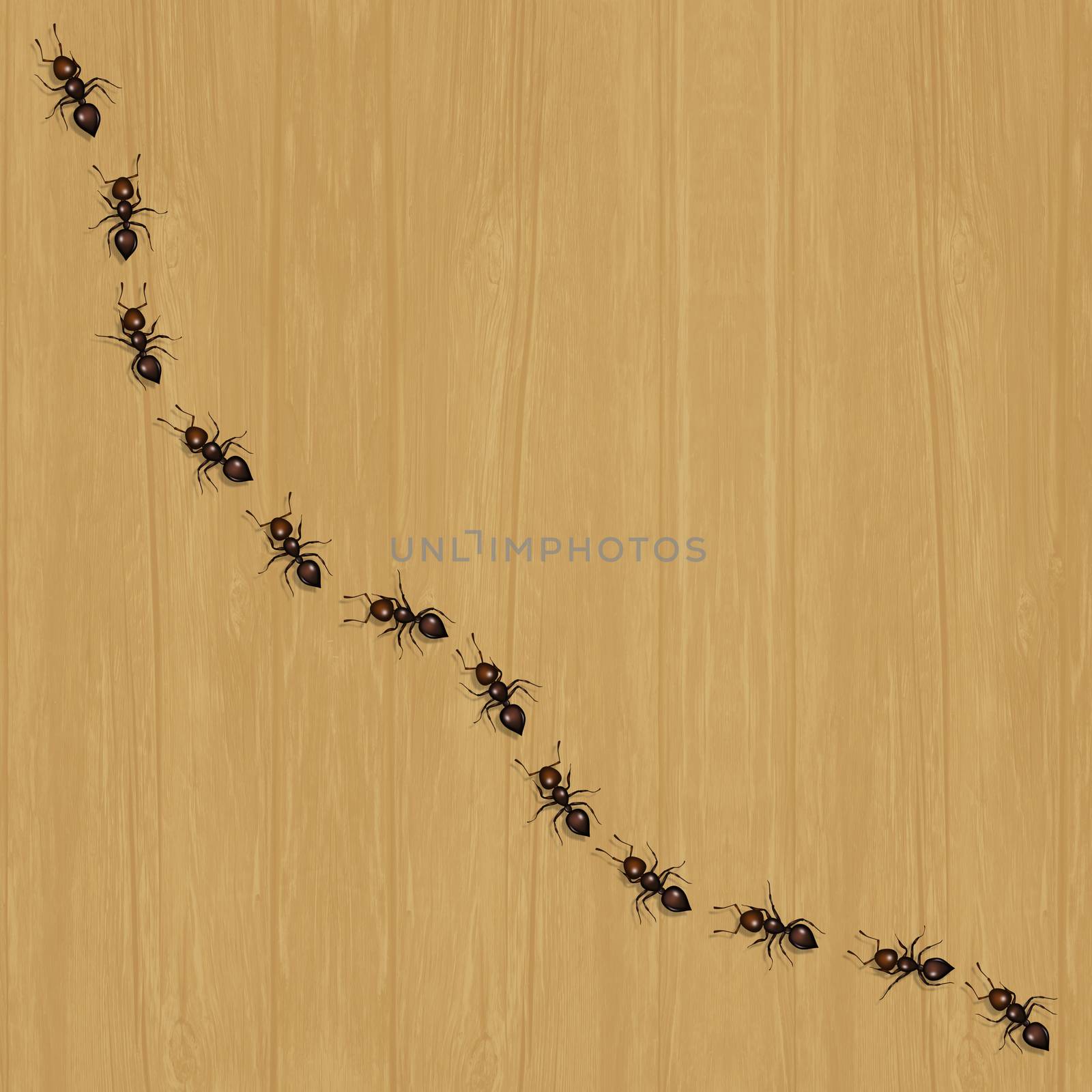 illustration of ants on the floor by adrenalina