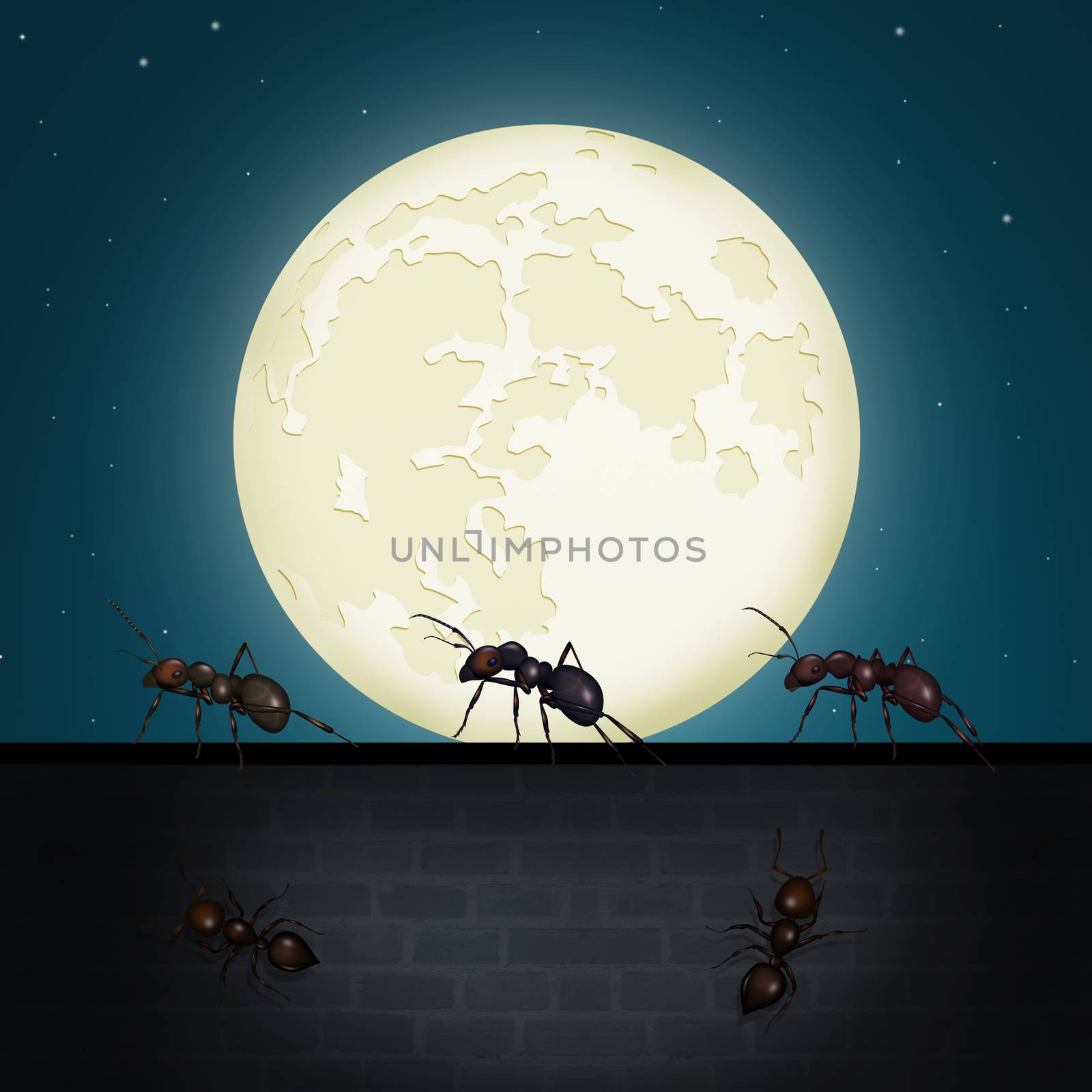 illustration of ants team on the wall in the moonlight