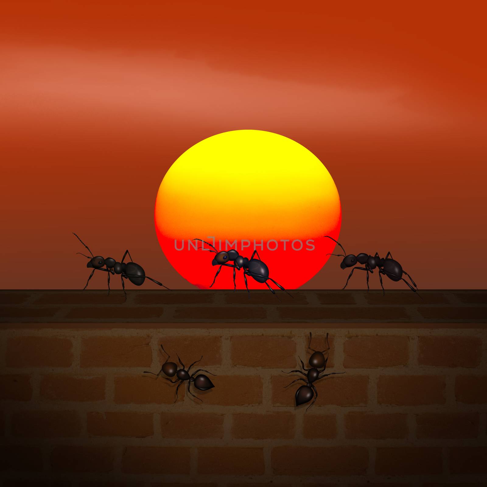 illustration of ants on the wall at sunset