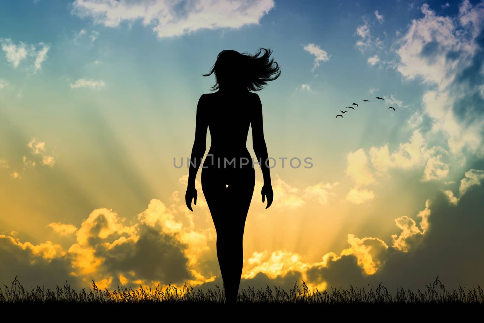 illustration of woman walks with hair in the wind at sunset