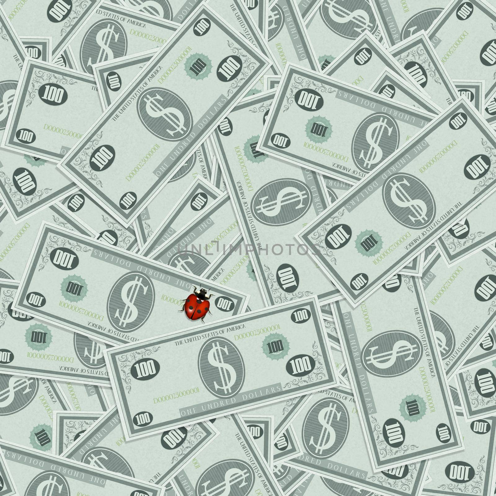 ladybug on banknotes of dollars by adrenalina