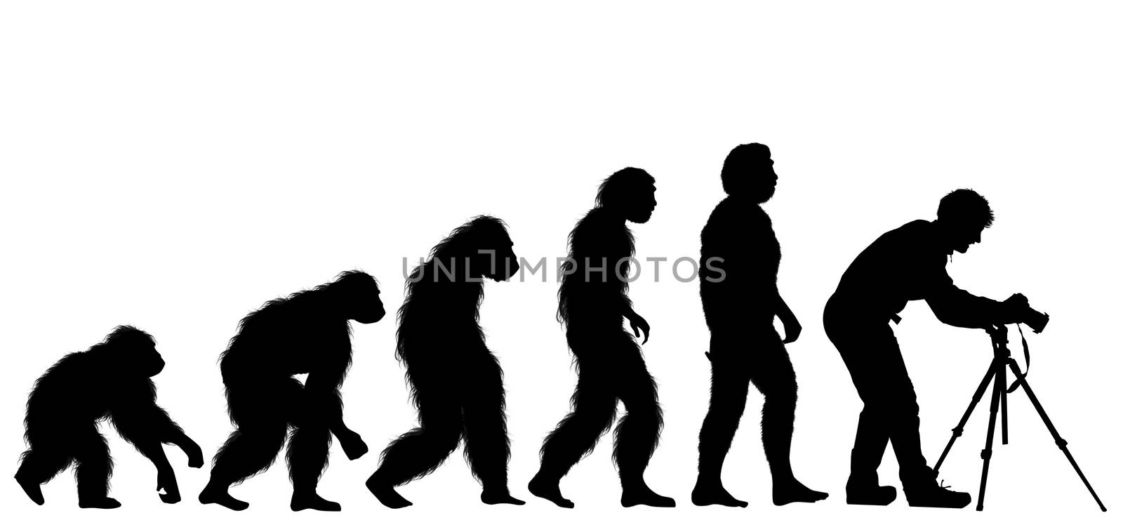 illustration of human evolution with photographer man with tripod