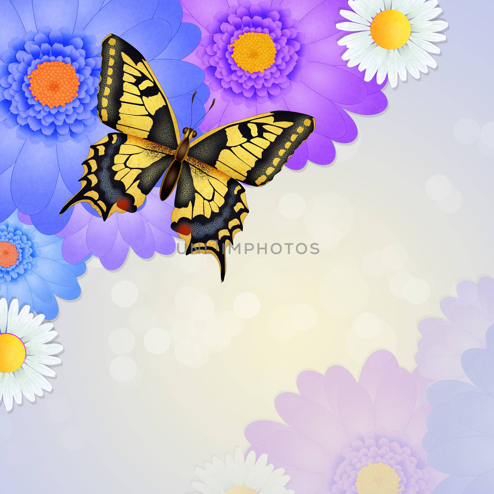 illustration of the swallowtail  on flowers