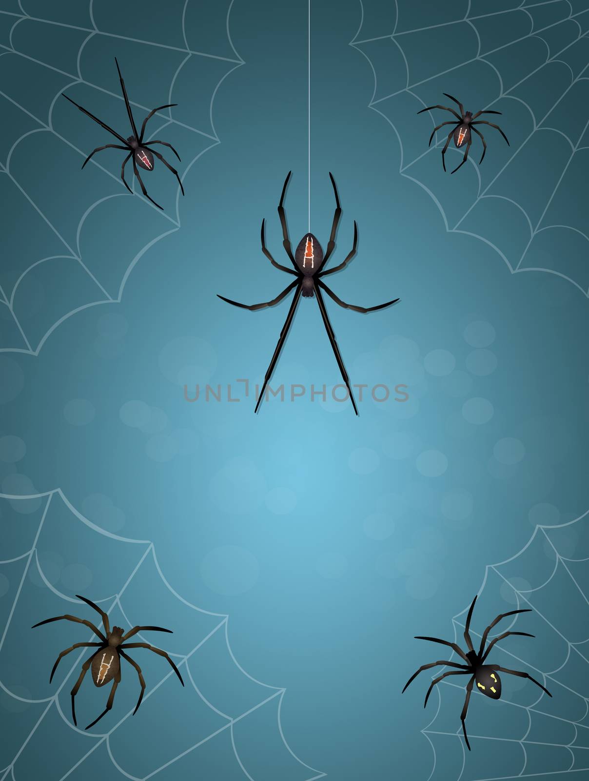 illustration of spiders by adrenalina