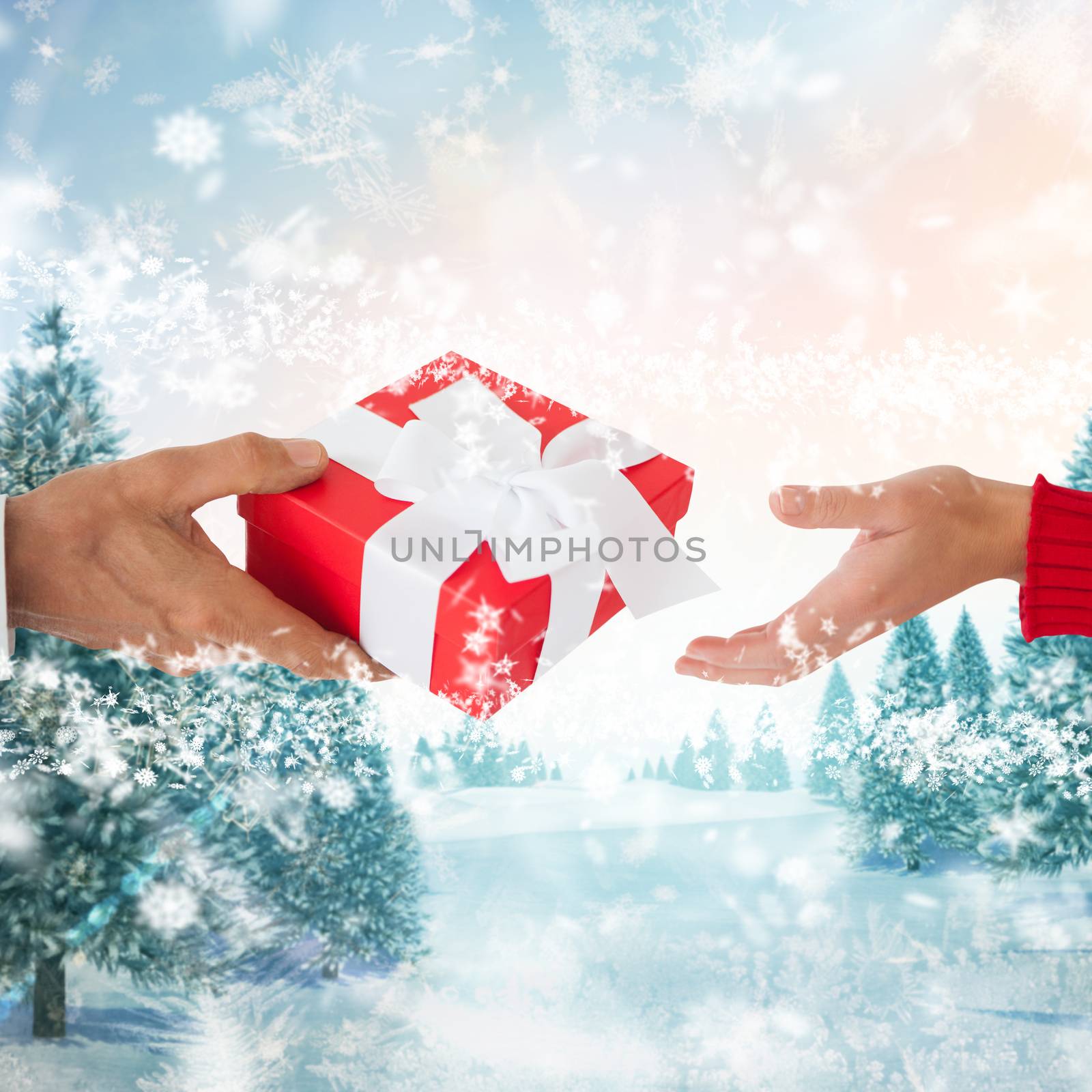Couple holding gift against snowy landscape with fir trees
