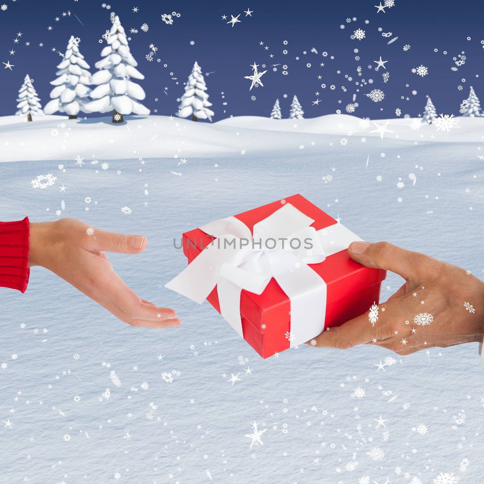 Couple holding gift against snowy landscape with fir trees