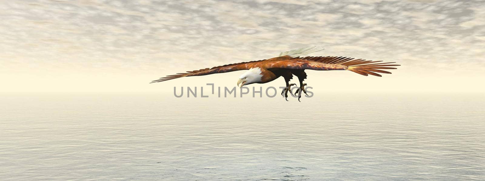Bald eagle flying and sky - 3D rendering