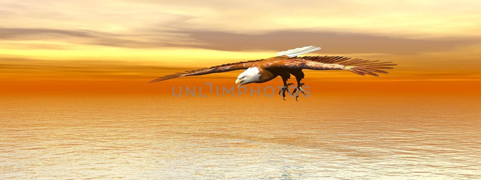 Bald eagle flying - 3D rendering by mariephotos