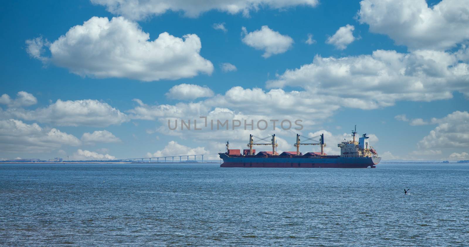 Pelican Diving at Dredging Ship by Bridge by dbvirago