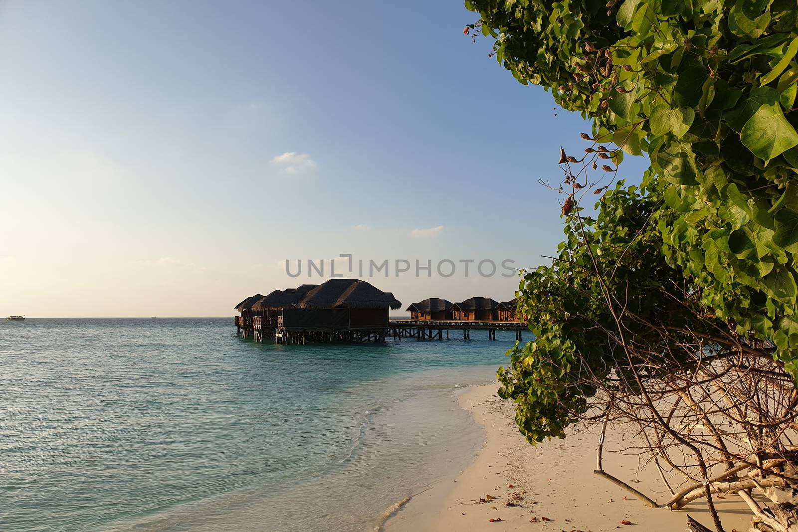 Maldives. Wooden houses on the water near the shore. by mdsfotograf
