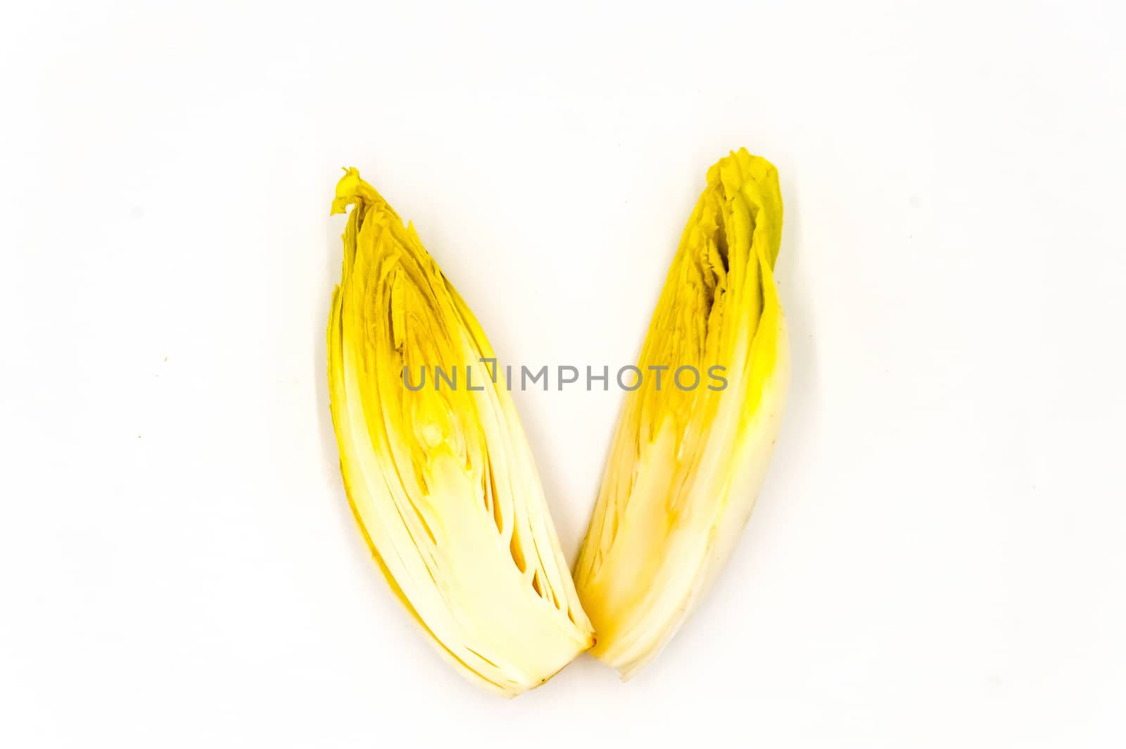 Cut chicory isolated on white background