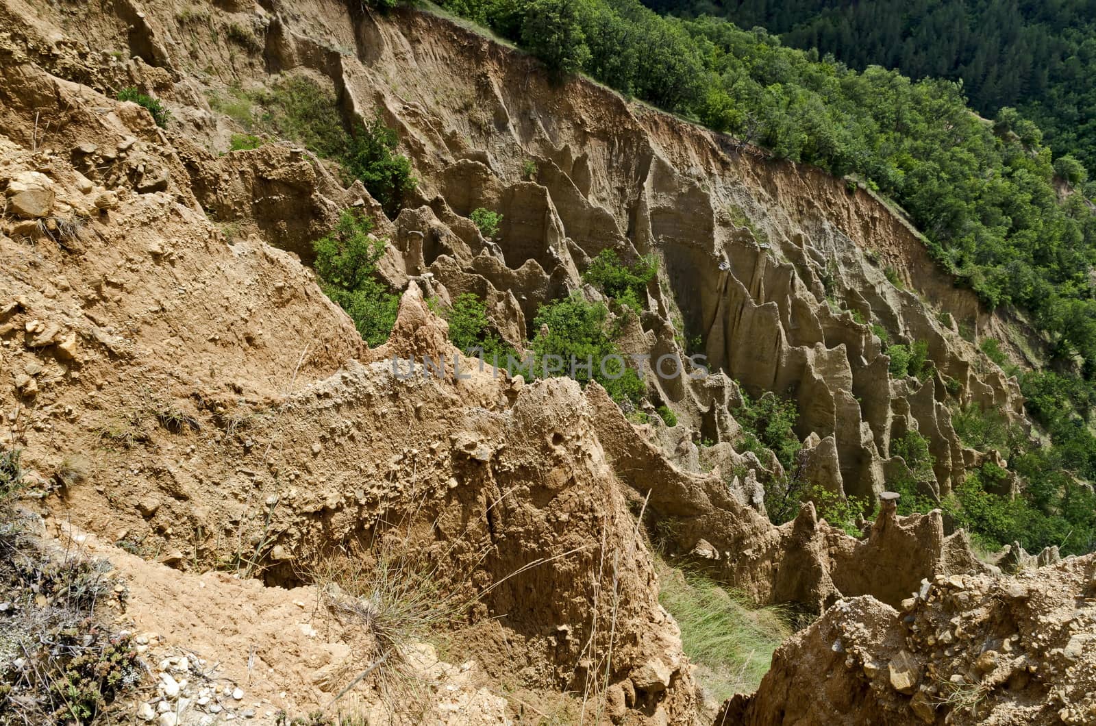 Fragment of the famous Stob Pyramids with unusual shape red and yellow rock formations, green bushes and trees around, west share of Rila mountain, Kyustendil region, Bulgaria, Europe