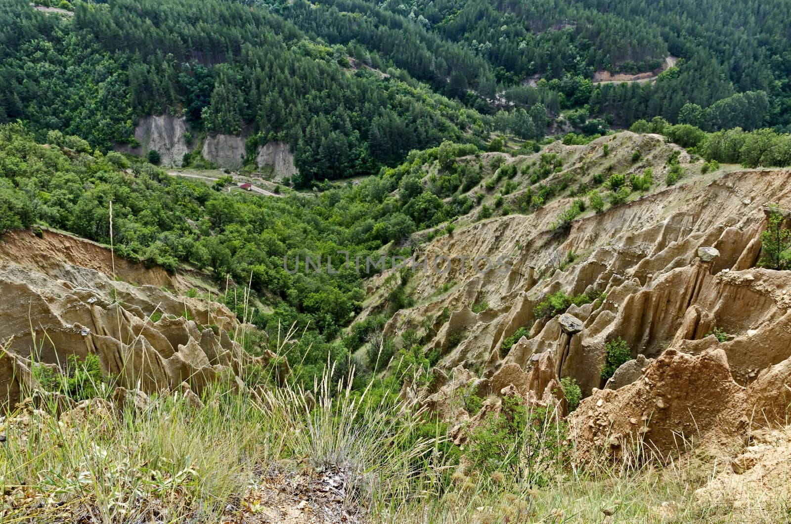 Fragment of the famous Stob Pyramids with unusual shape red and yellow rock formations, green bushes and trees around, west share of Rila mountain, Kyustendil region, Bulgaria, Europe