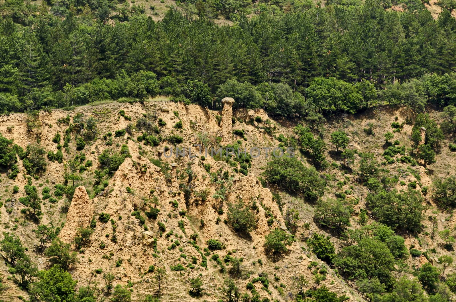 A view of the neighboring slope with new Stob pyramids of yellow rock formations, west share of Rila mountain, Kyustendil region, Bulgaria, Europe