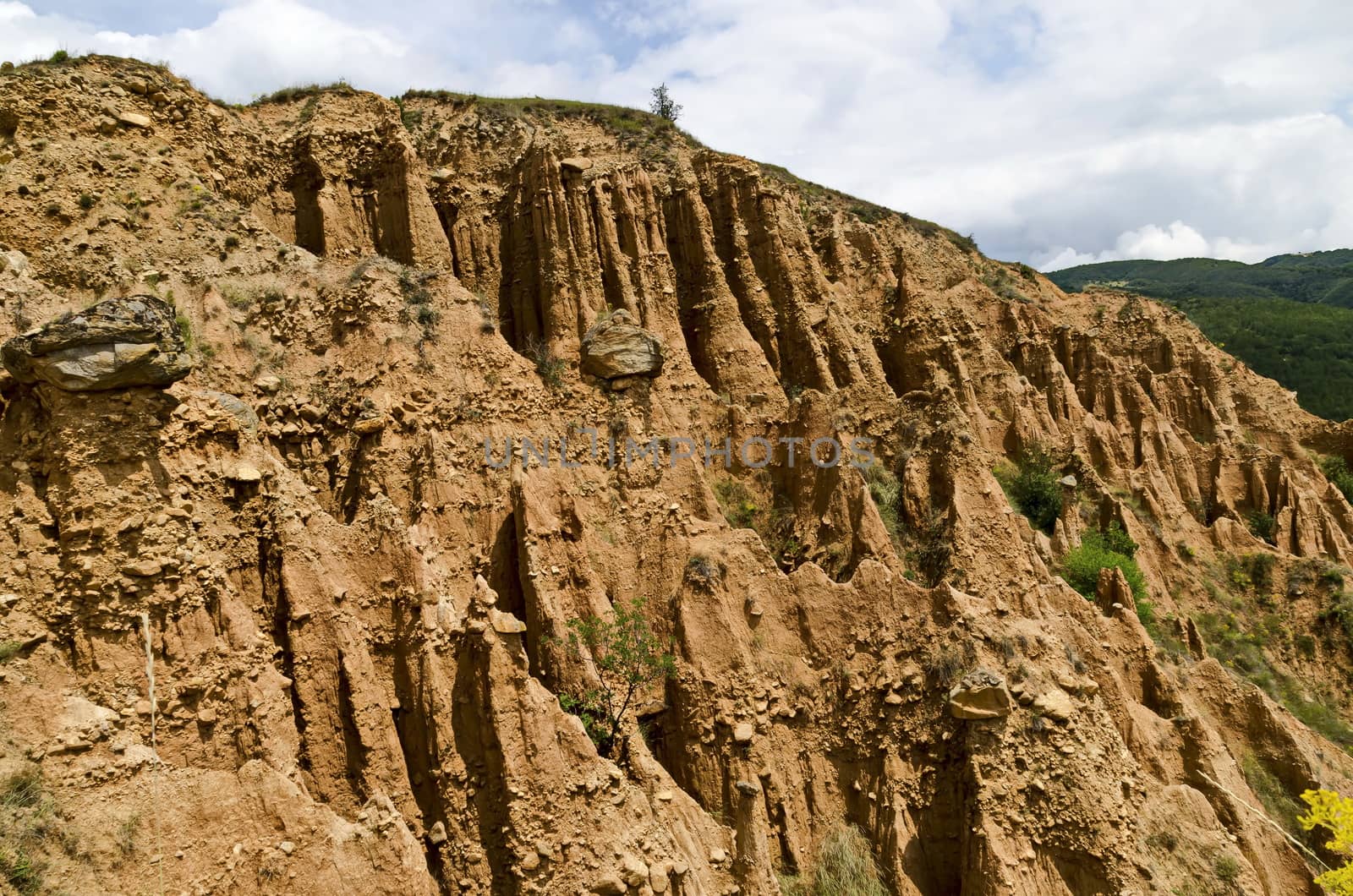 At close of the famous Stob Pyramids with unusual shape red and yellow rock formations, green bushes and trees around, west share of Rila mountain, Kyustendil region, Bulgaria, Europe