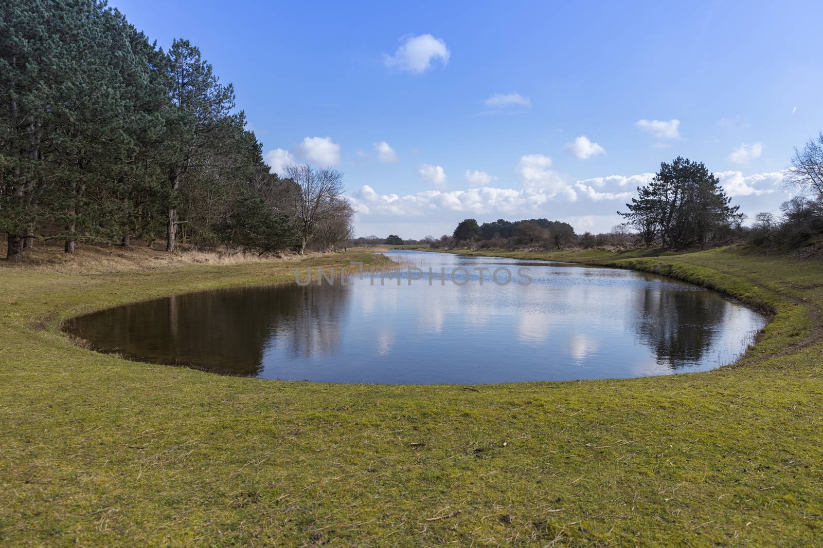 beautifull pond in the national park awd in holland near zandvoort
