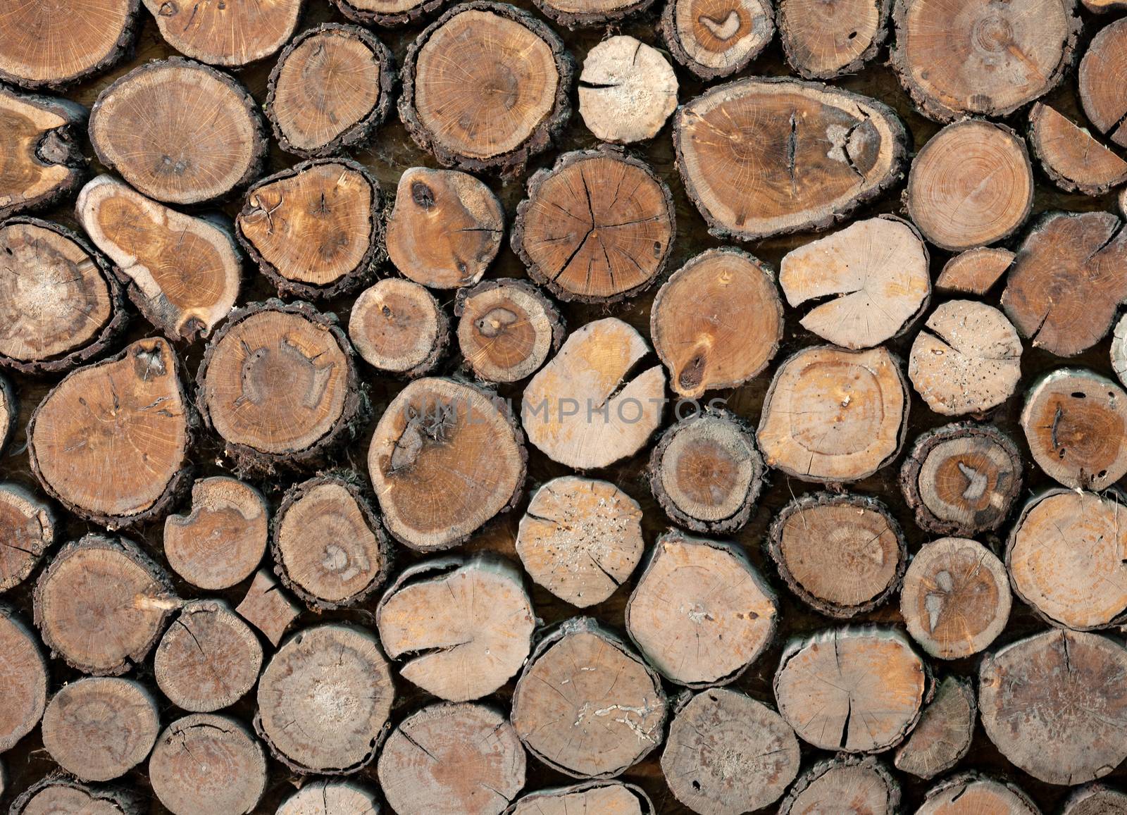 Decorative background of round logs. Close up. by fogen