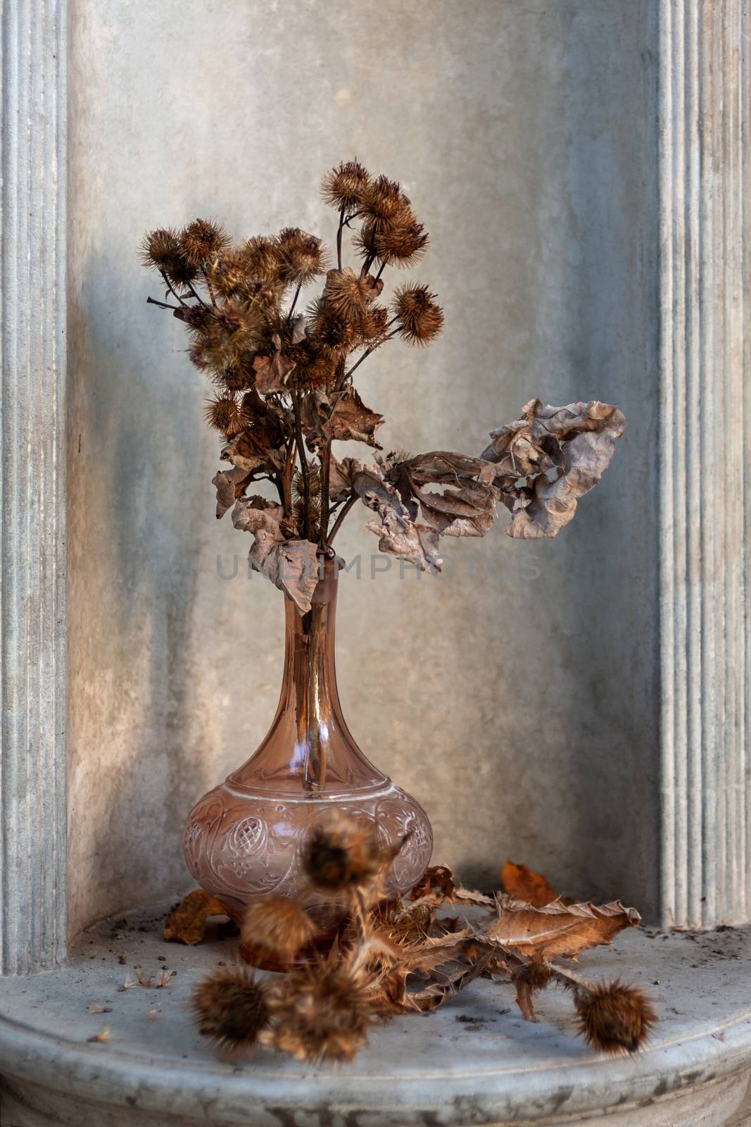 Dry burdock in a glass decanter.