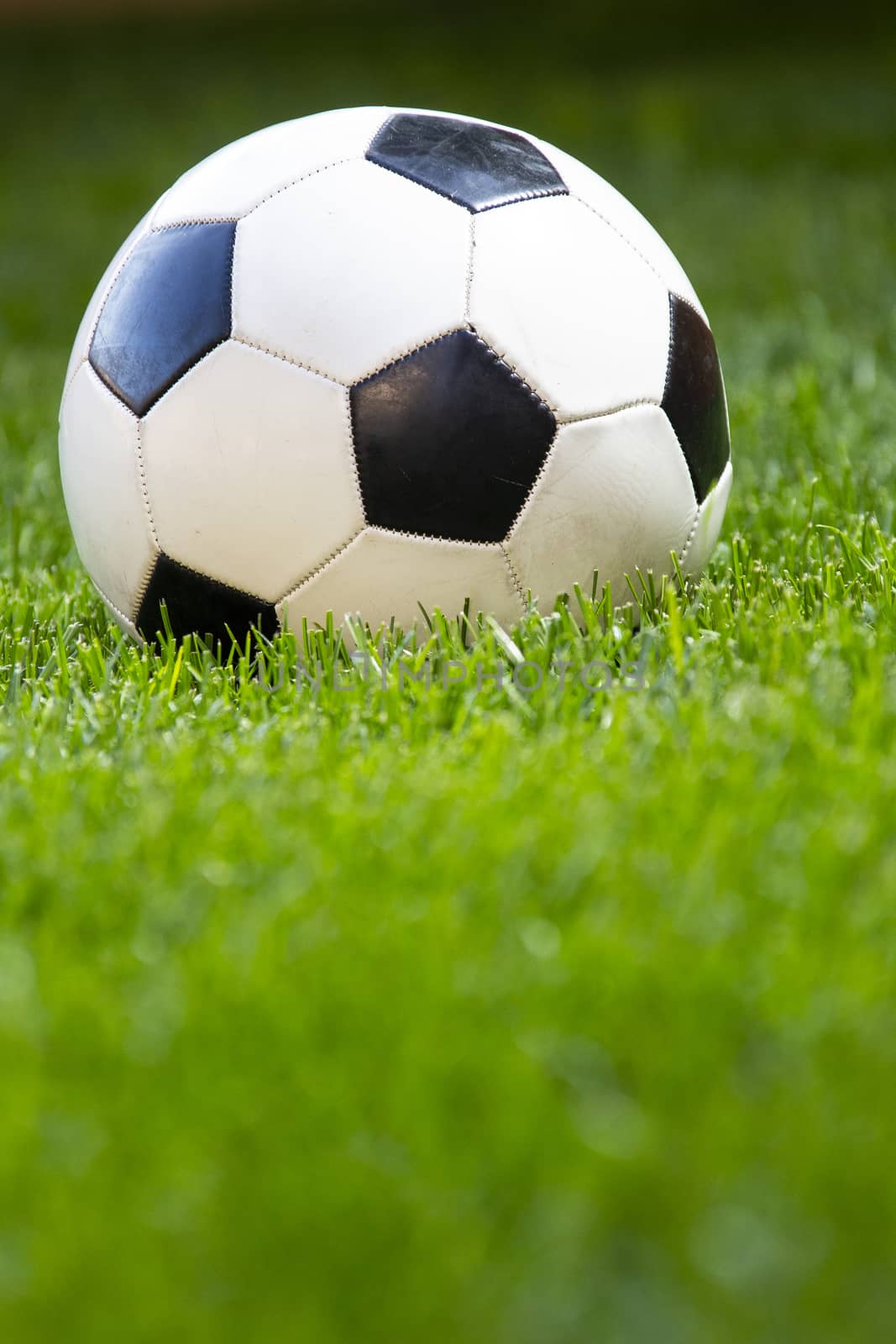 Football, soccer ball on a green grass by oasisamuel