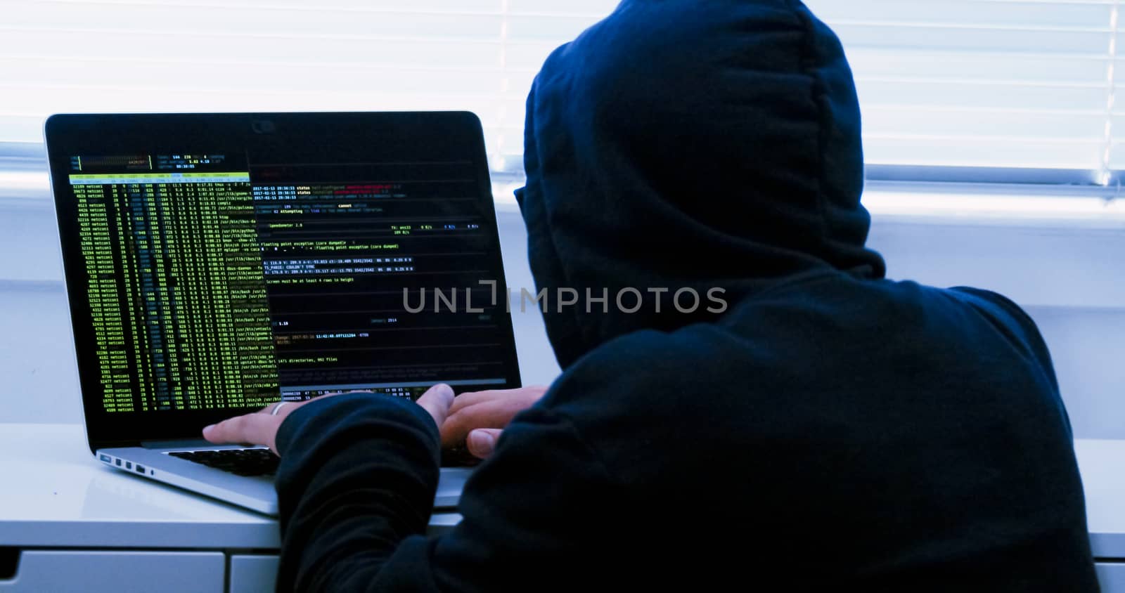 Hacker typing fake dummy code