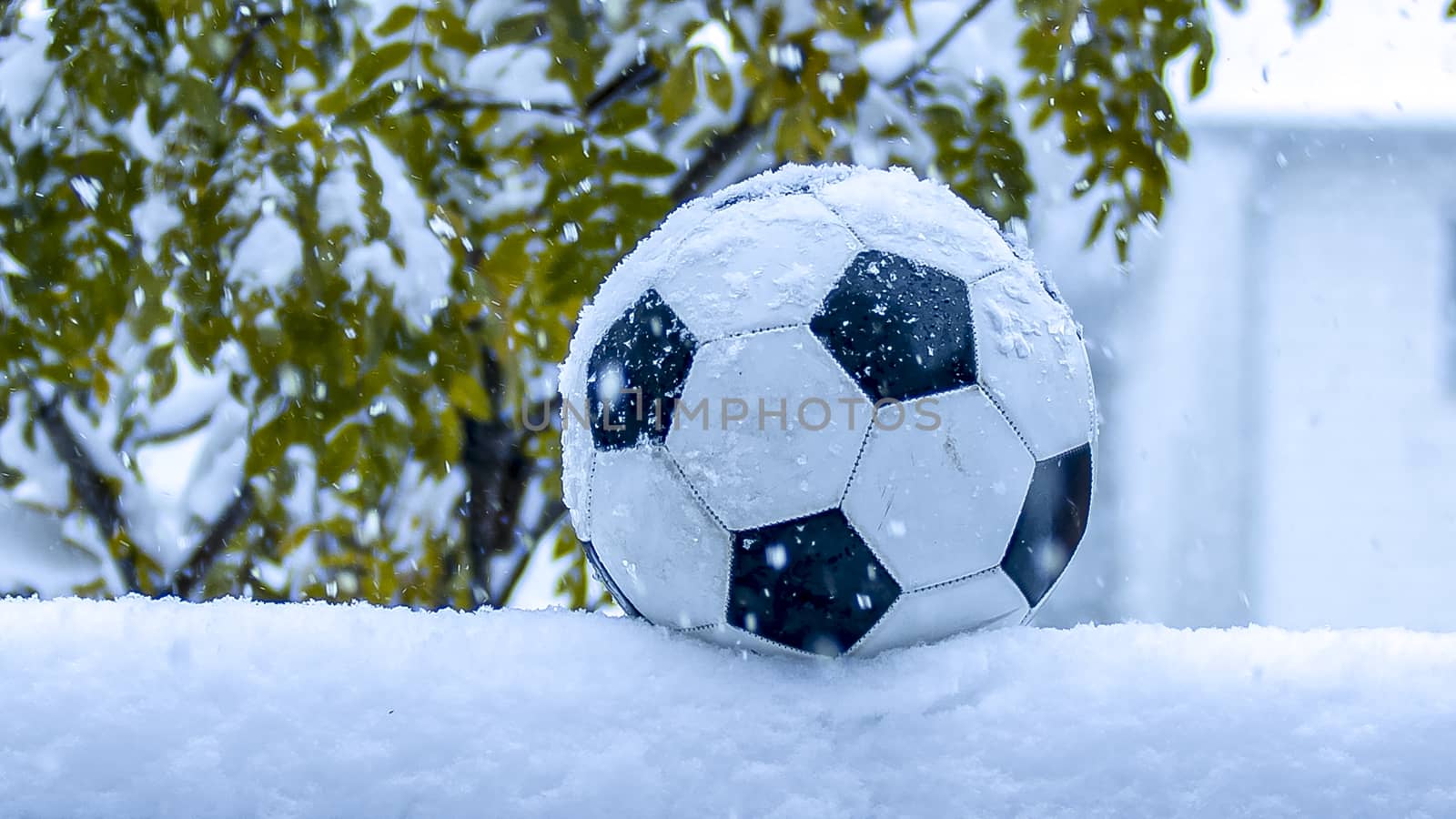 Soccer ball, football during a snowing day by oasisamuel
