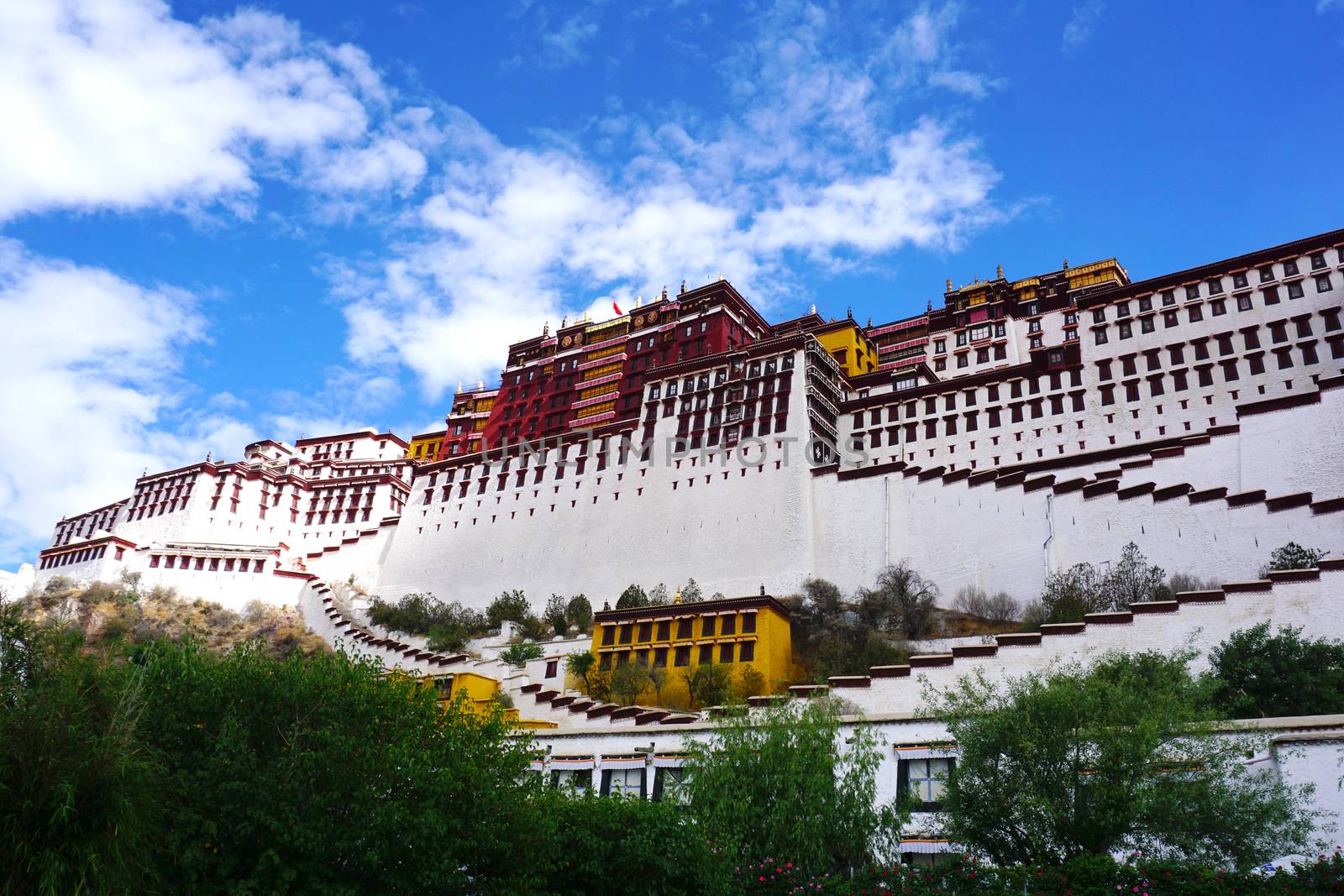 Potala palace in Lhasa by yongtick