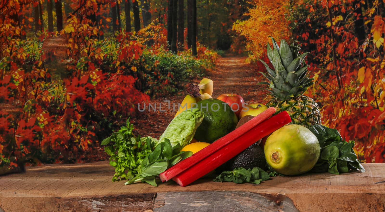 close up of healthy food and fruit with copy space in a forrest setting